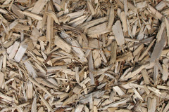 biomass boilers Skelpick