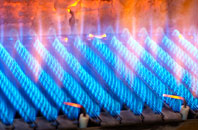Skelpick gas fired boilers
